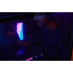 Memorie RAM Kingston, DIMM, DDR5, 32GB, 7200MHz, CL38, 1.35V, FURY Renegade White, RGB, Kit of 2 - imagine 13