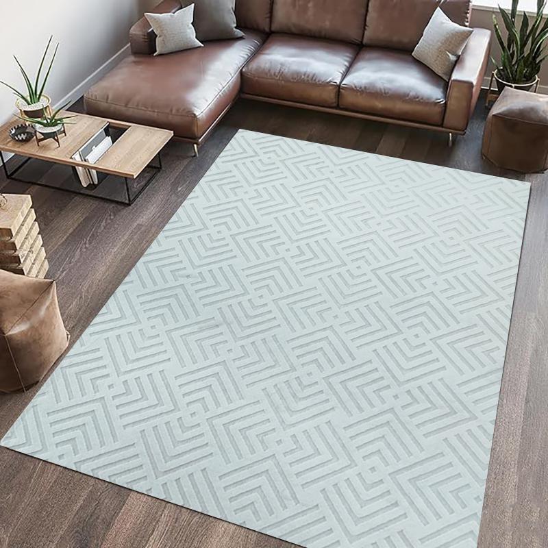 overlay_1f733b49b5bb040636234b5fd9ec9972 COVOR BLANITA DOVER 160X230 CM GREY - imagine 1