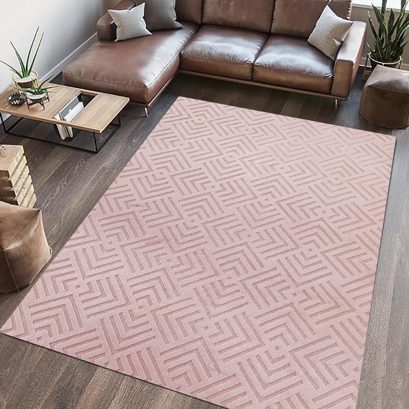 overlay_65fdcecdff0bdaae267969dff0339e8c COVOR BLANITA DOVER 200X300 CM ROSE - imagine 1