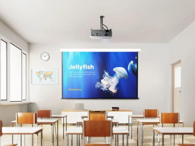 Videoproiector ViewSonic PA504W, WXGA 1280* 800, 4.000 lumeni, 22.000:1, lampa 6.000- 15.000 ore Ecomode, zoom optic 1.3x, dimensiune imagine 300", distanta proiectare 0.78m-10.14 m, 27- 31 dB, component, compozit, 2* HDMI, audio in/ out, USB Tip A (Alimentare): 1 (5V/1.5A), difuzor 10W, RS232 - imagine 4